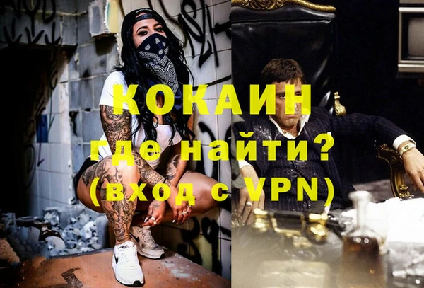 сатива Магадан
