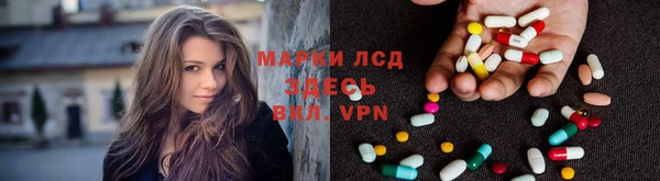 сатива Магадан