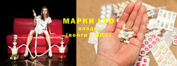 гидра Магас