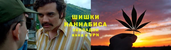 гидра Магас