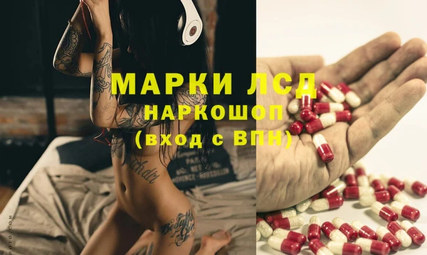 сатива Магадан