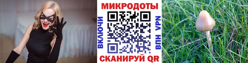 Галлюциногенные грибы Magic Shrooms  Купить  Новосокольники 